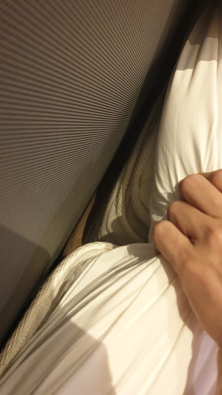 巨港诺富特酒店-客卧