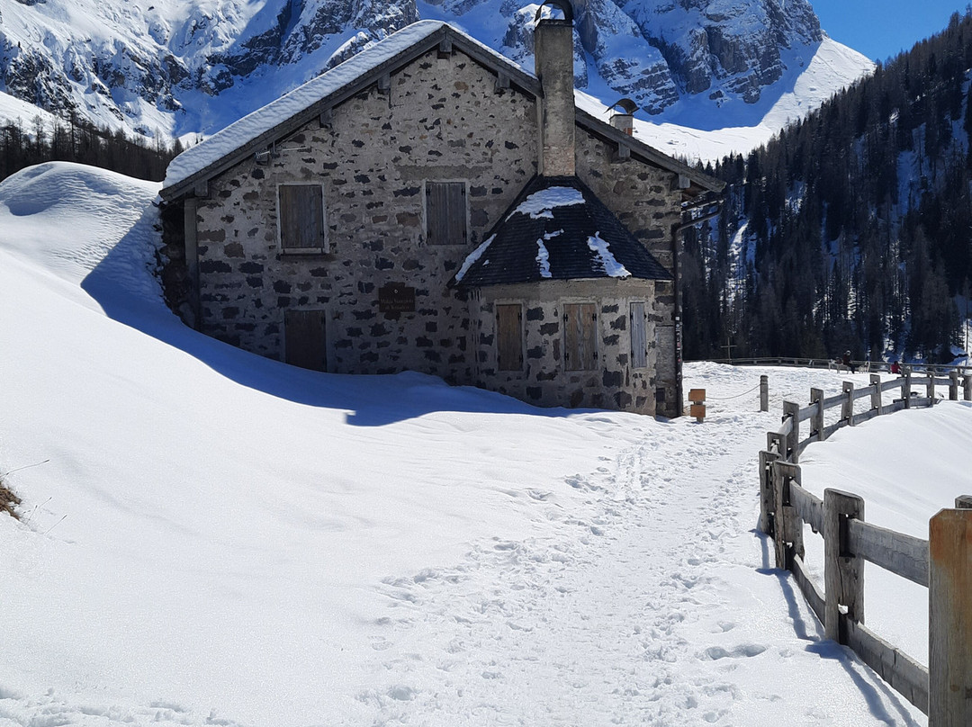 Val Venegia e Baita Segantini景点图片