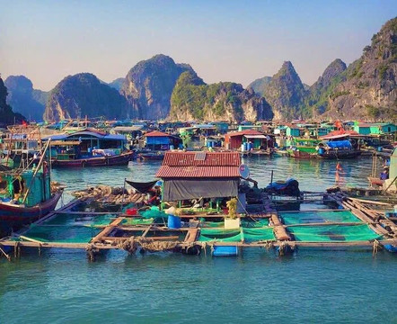 Authentic Viet Nam Explore-Cat Ba Town必去景点