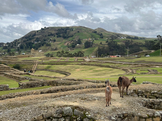 Ingapirca Ruins-Ingapirca必去景点