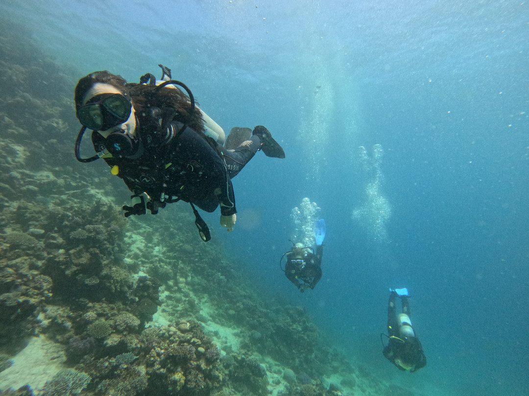 Fantasea Divers Dahab-达哈卜必去景点