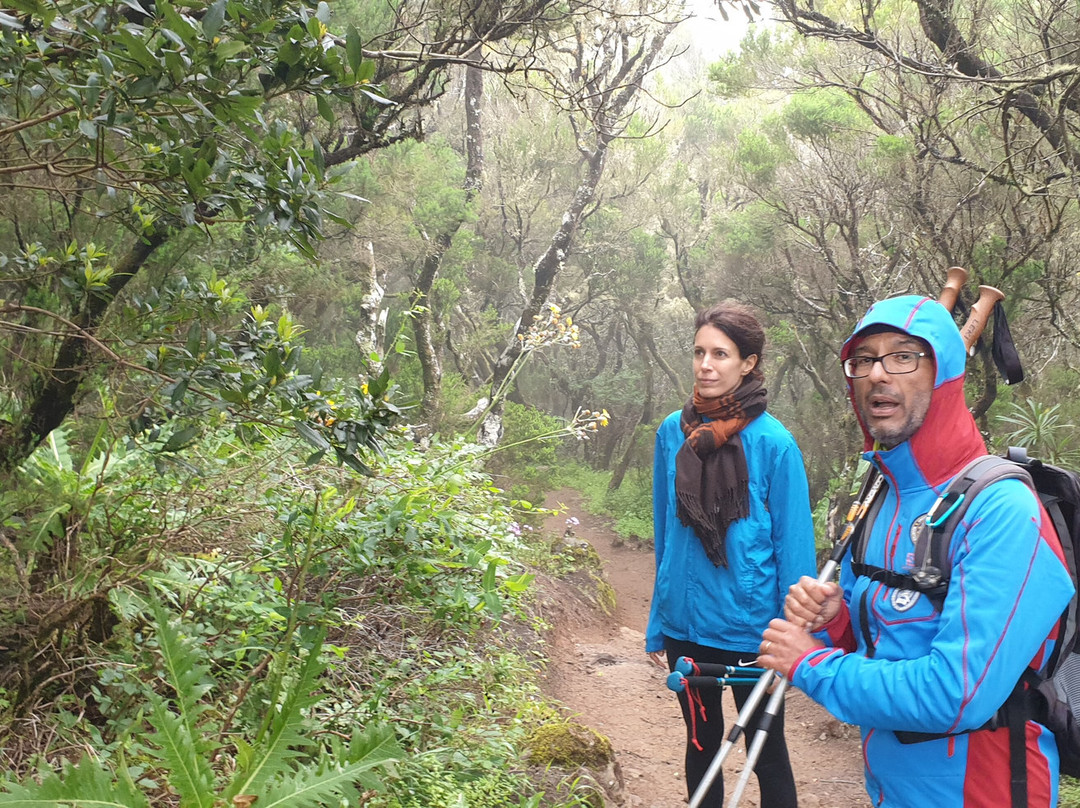 Sergio Walking Tours-特纳里夫必去景点