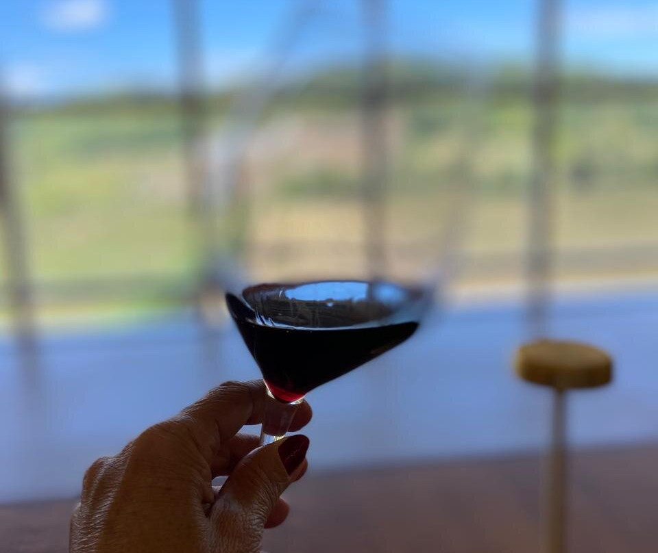 Torrontes Enoturismo景点图片
