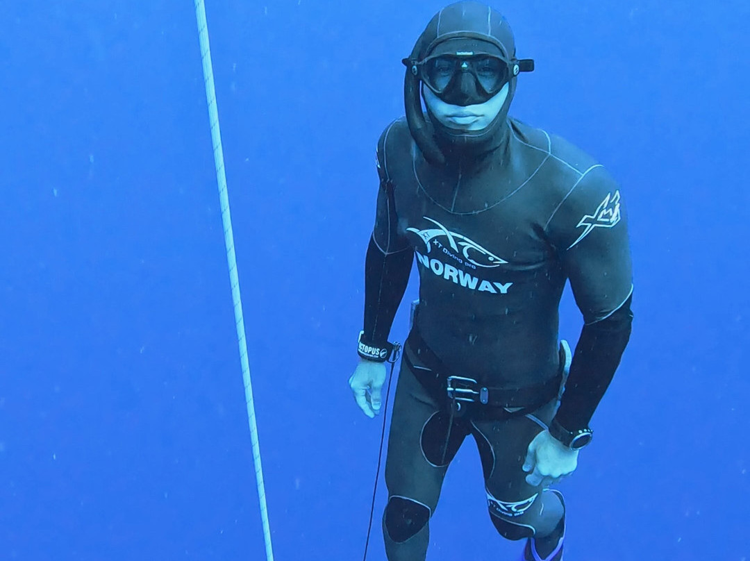 Freedive Cosmos景点图片