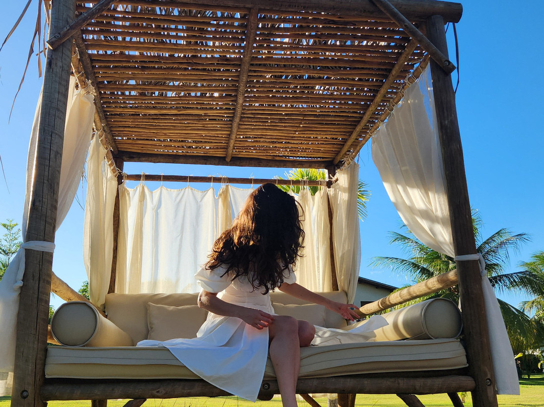 Ocacocar - Milagres主图