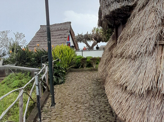 Madeira Electric Tours-沙尔必去景点