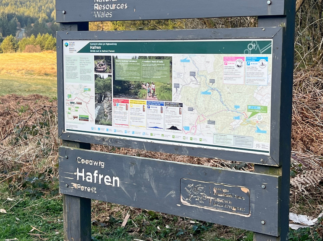 Hafren Forest-Llanidloes必去景点