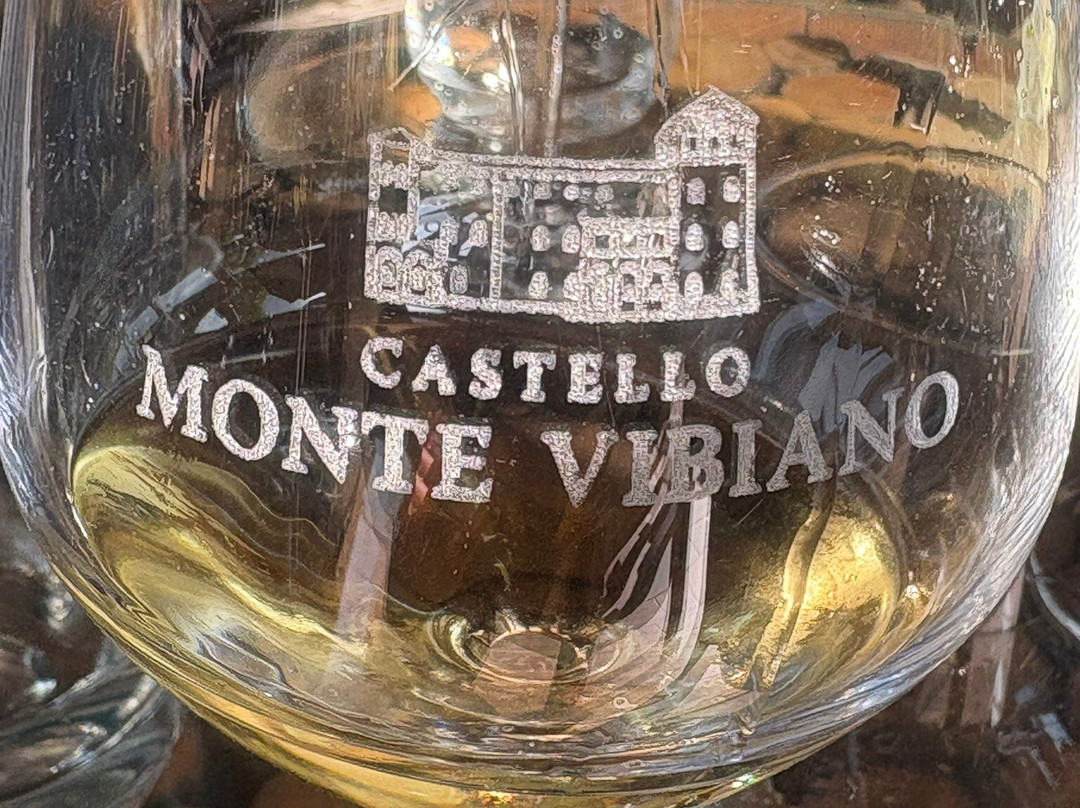 Castello Monte Vibiano Vecchio景点图片