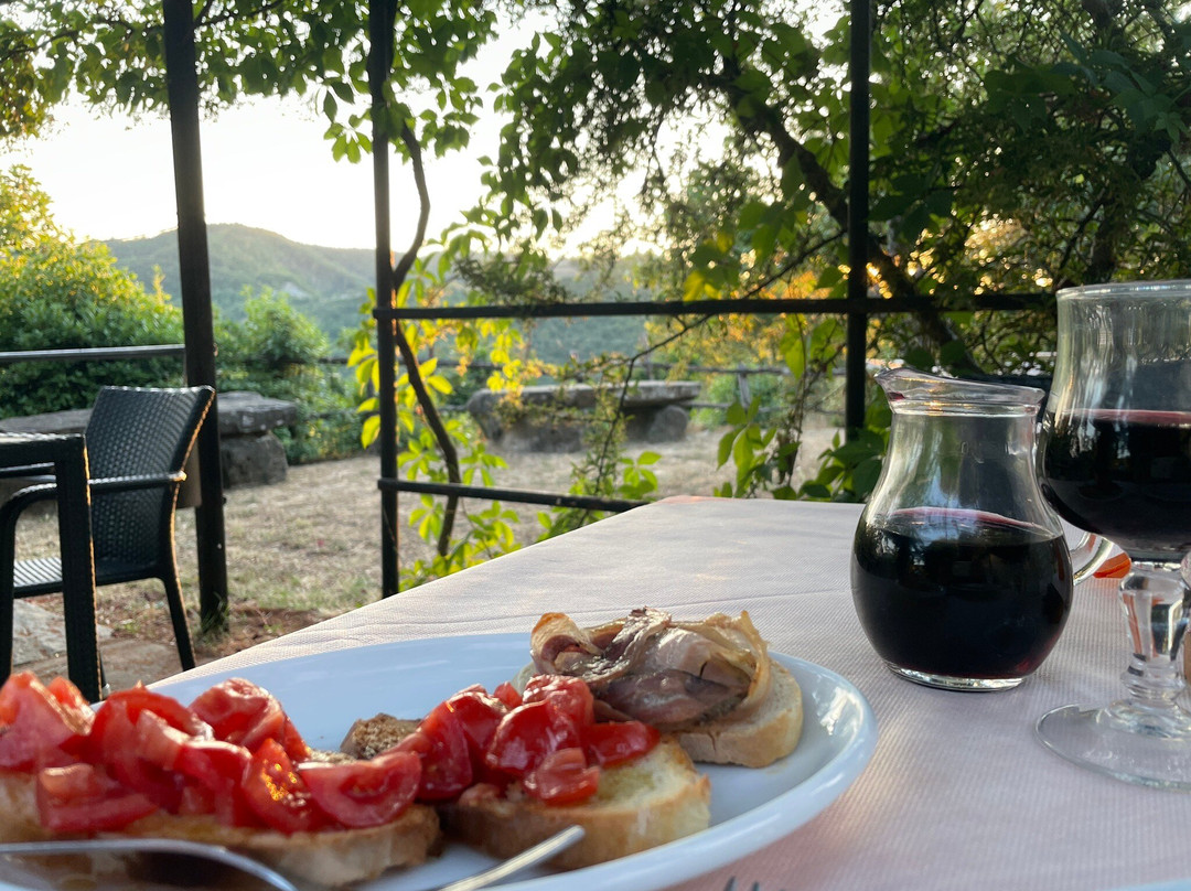 Agriturismo La Contessa Quarter Horse主图