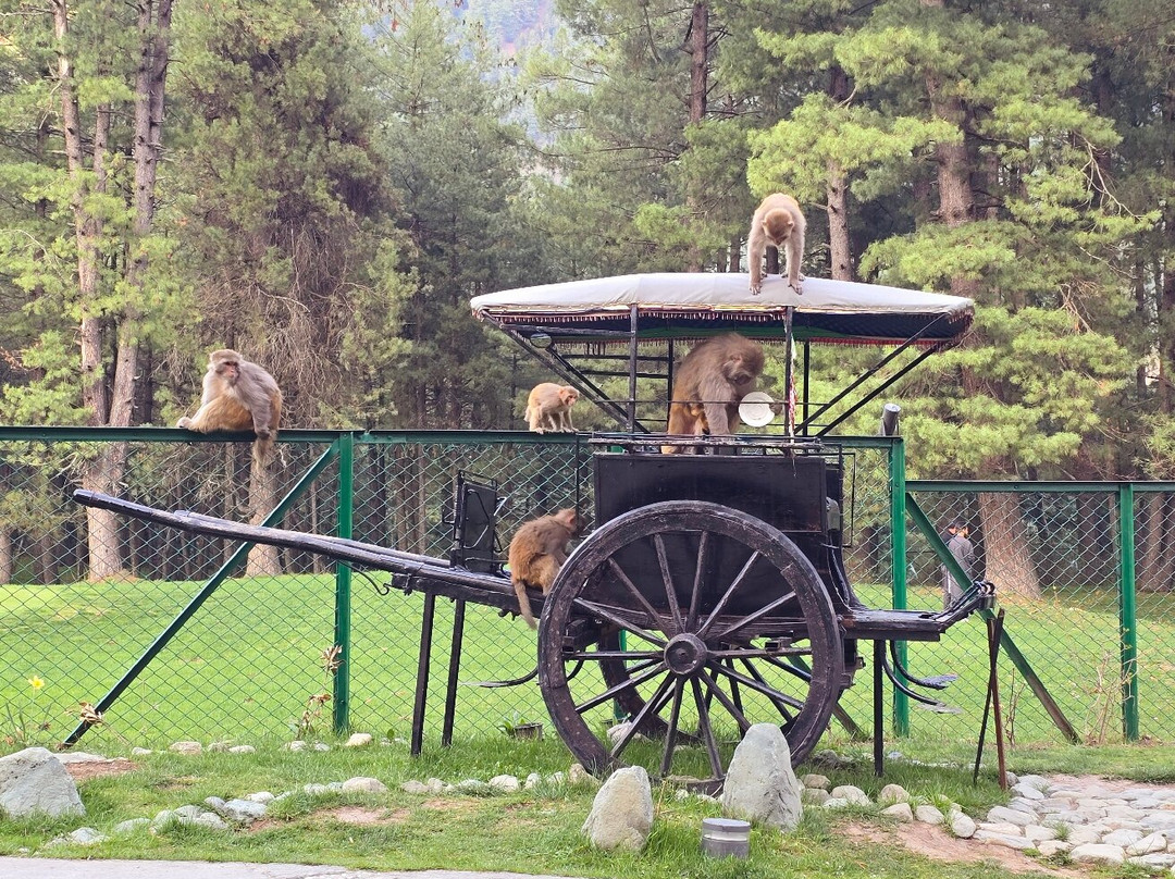 Radisson Golf Resort Pahalgam主图