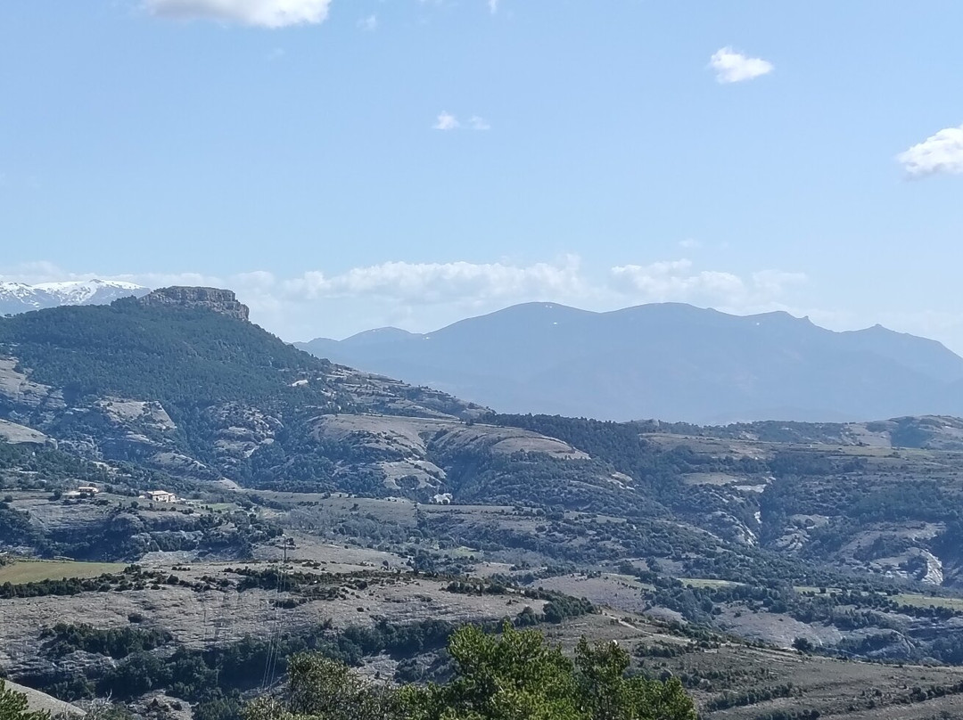 Zoo Del Pirineu景点图片