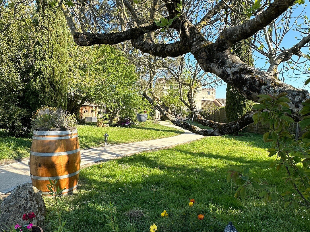 Le Coeur des Vignes主图