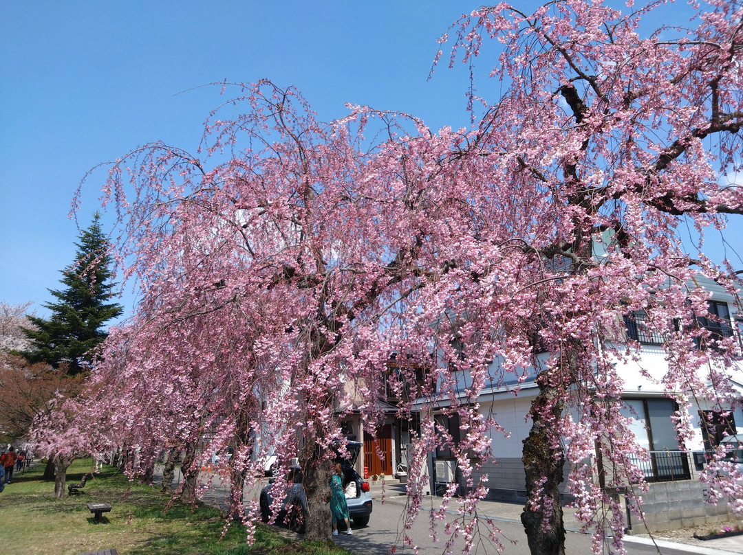 Nitchusen Memorial Bike and Pedestrian Path-喜多方市必去景点