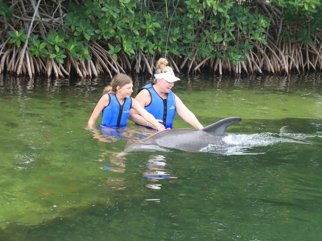 海豚商店-基拉戈-拉哥岛必去景点