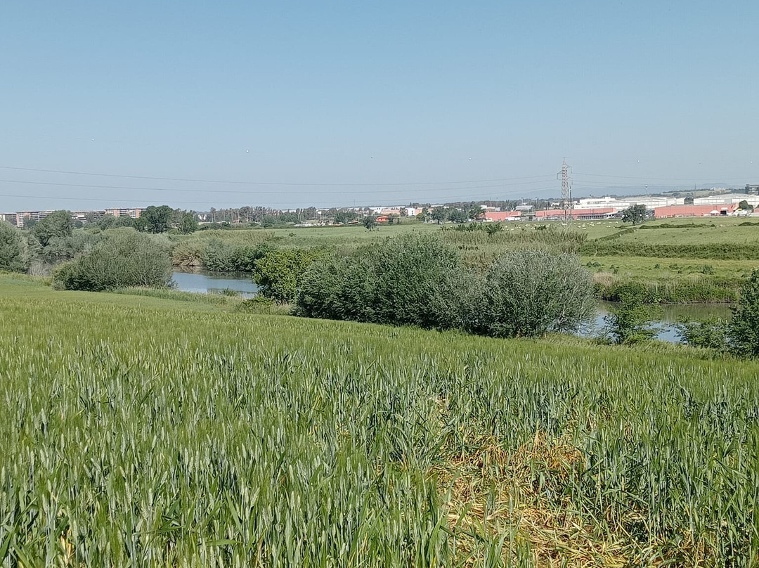 Parco Del Drago景点图片