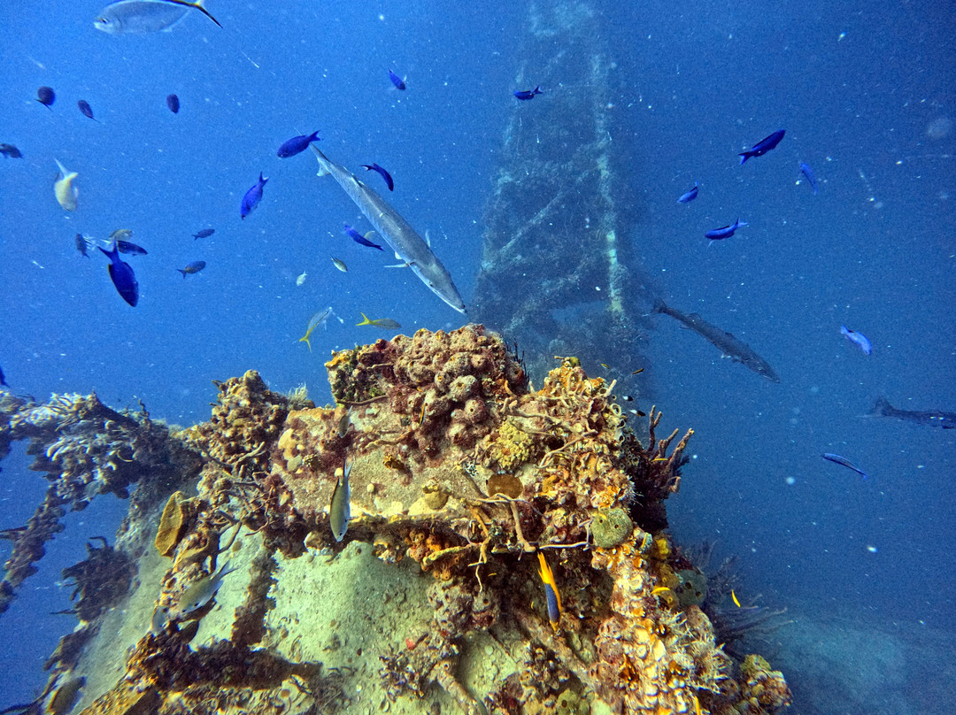 Horizon Divers-拉哥岛必去景点