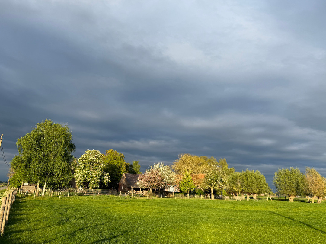 Hof ter Heebeke B&B主图