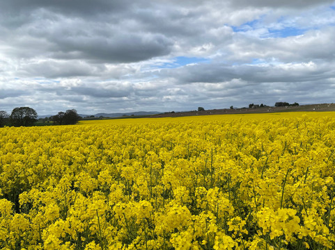 Just Scotland Tours-爱丁堡必去景点