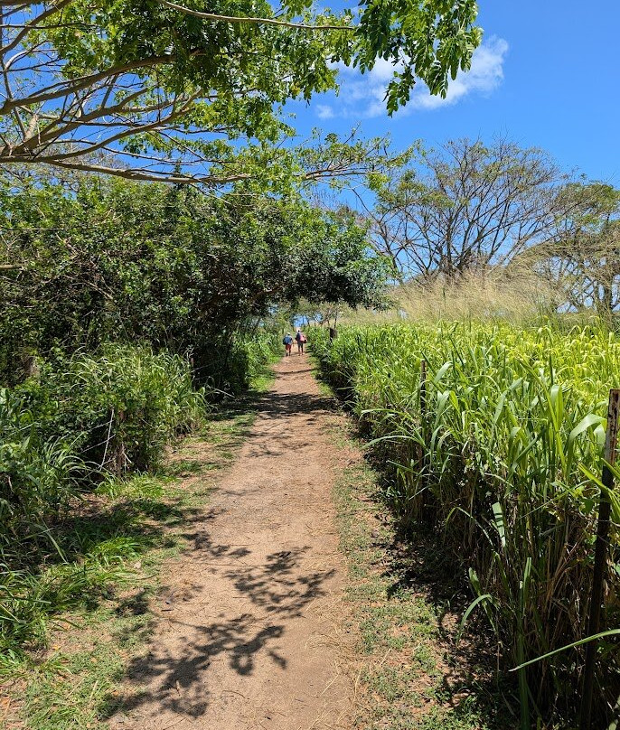 Polo Beach-瓦亚禄必去景点