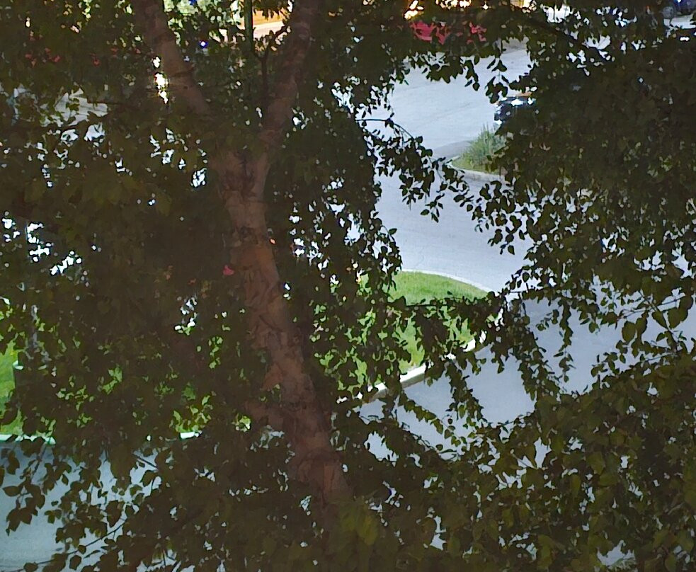 韦恩堡希尔顿花园旅馆主图