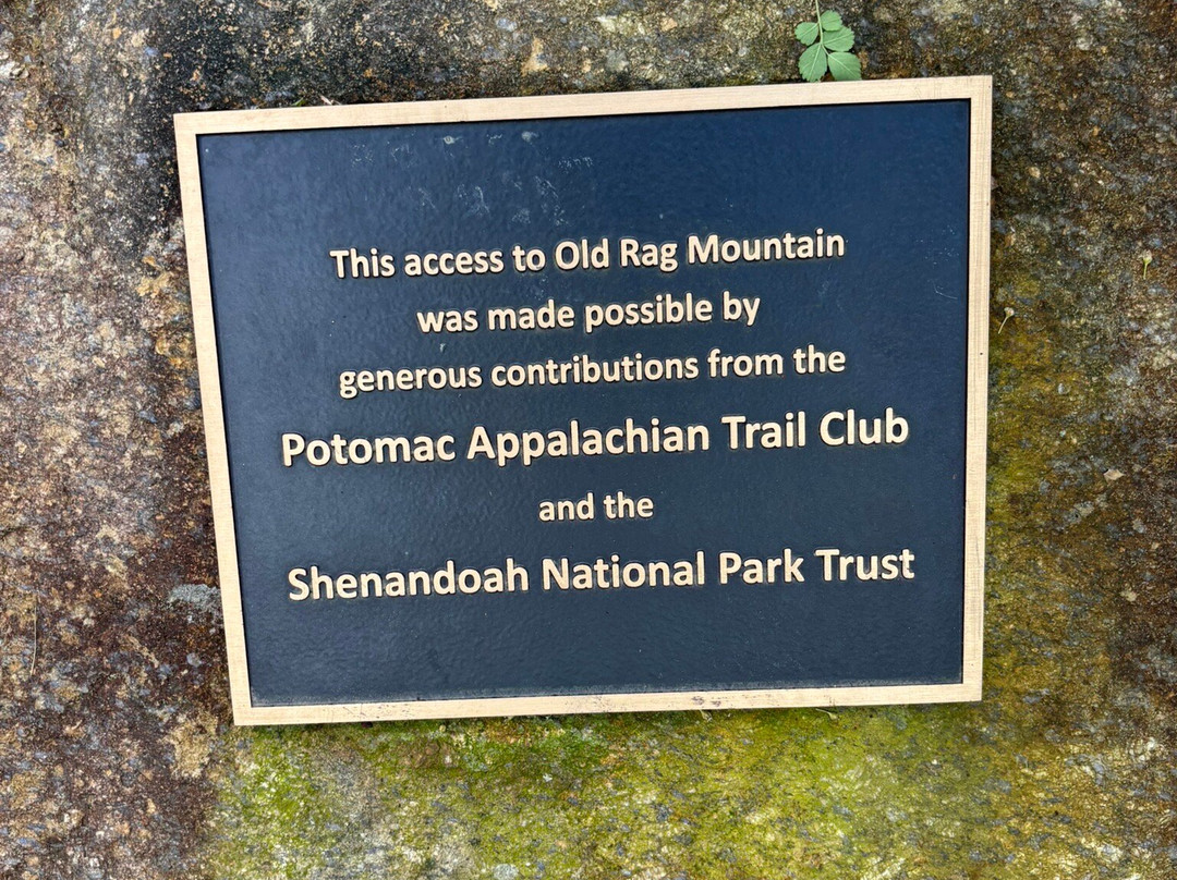 Old Rag Mountain Hike-雪兰多国家公园必去景点