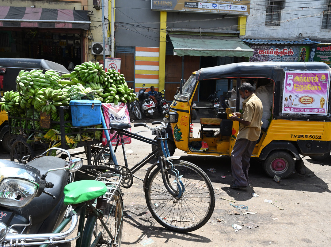 Madurai Inhabitants-马杜赖必去景点