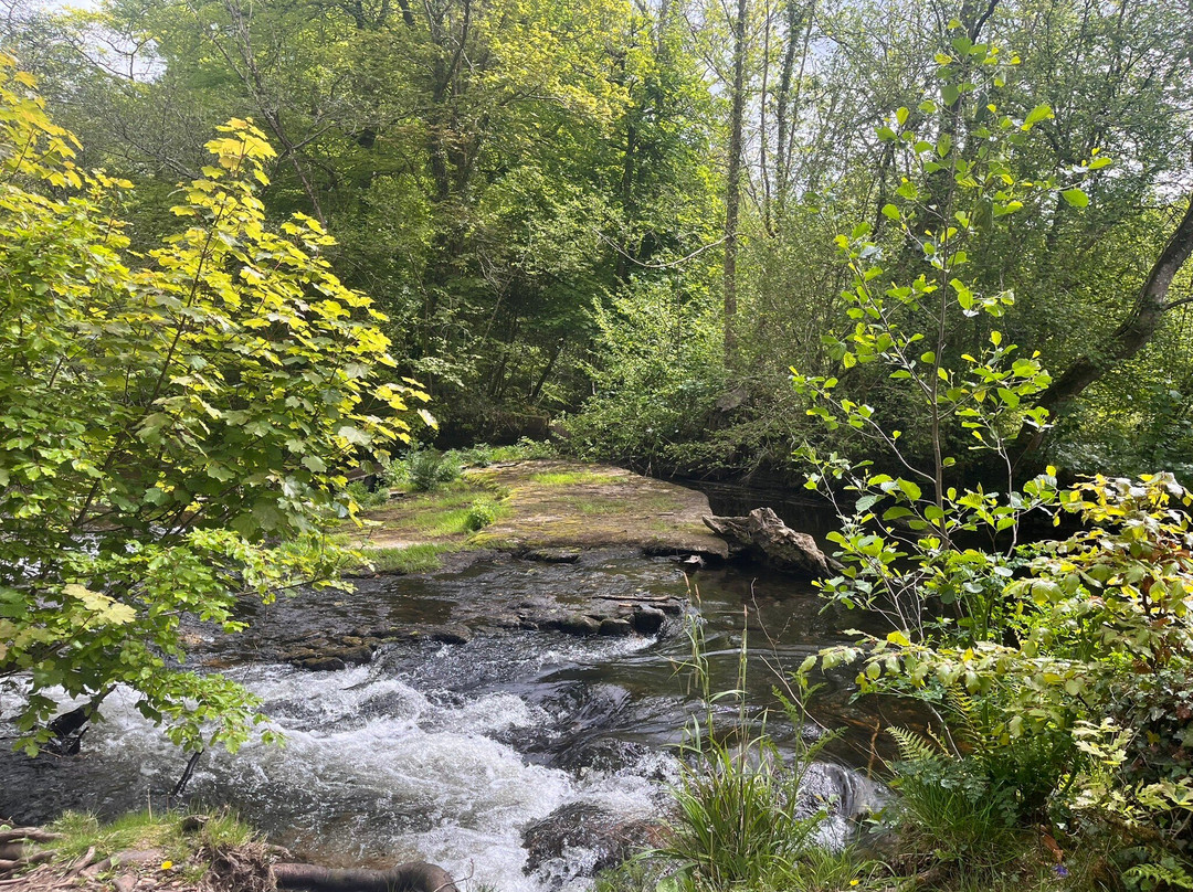 Parke-Bovey Tracey必去景点