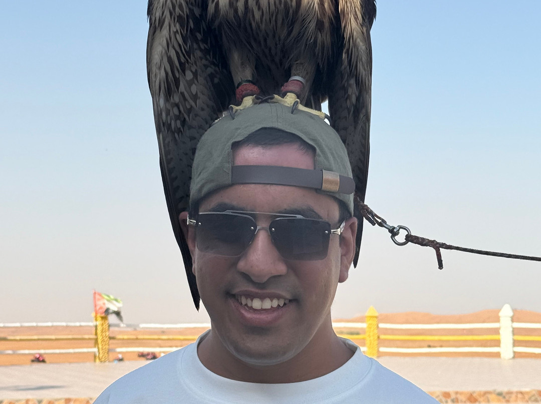 Airlane Travel & Tours-大湾必去景点