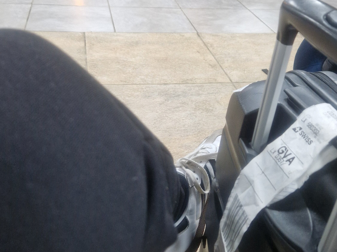 Sea Coach Express-弗里敦必去景点