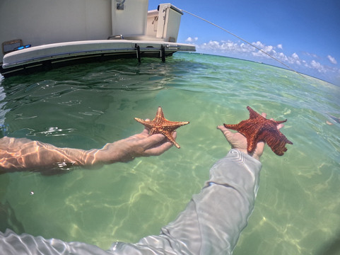 Island Breeze Charters Cayman-大开曼岛必去景点