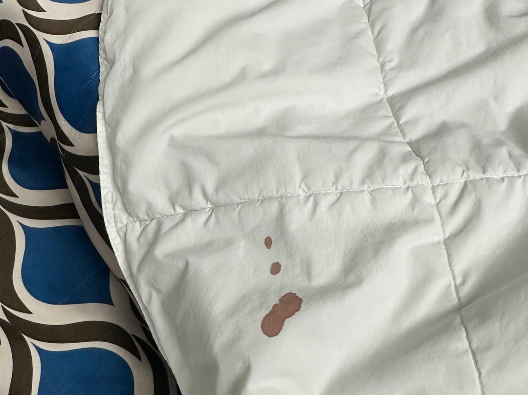 Microtel Inn & Suites By Wyndham Jacksonville Airport主图