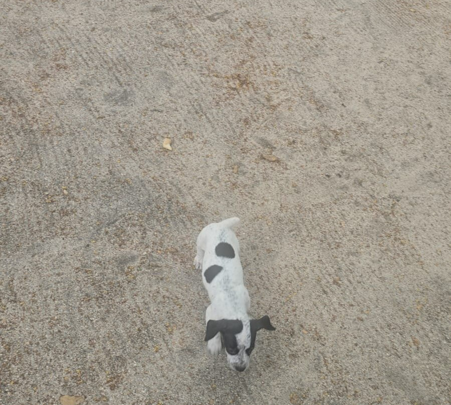 Jack Adventures Costa Rica-Culebra必去景点