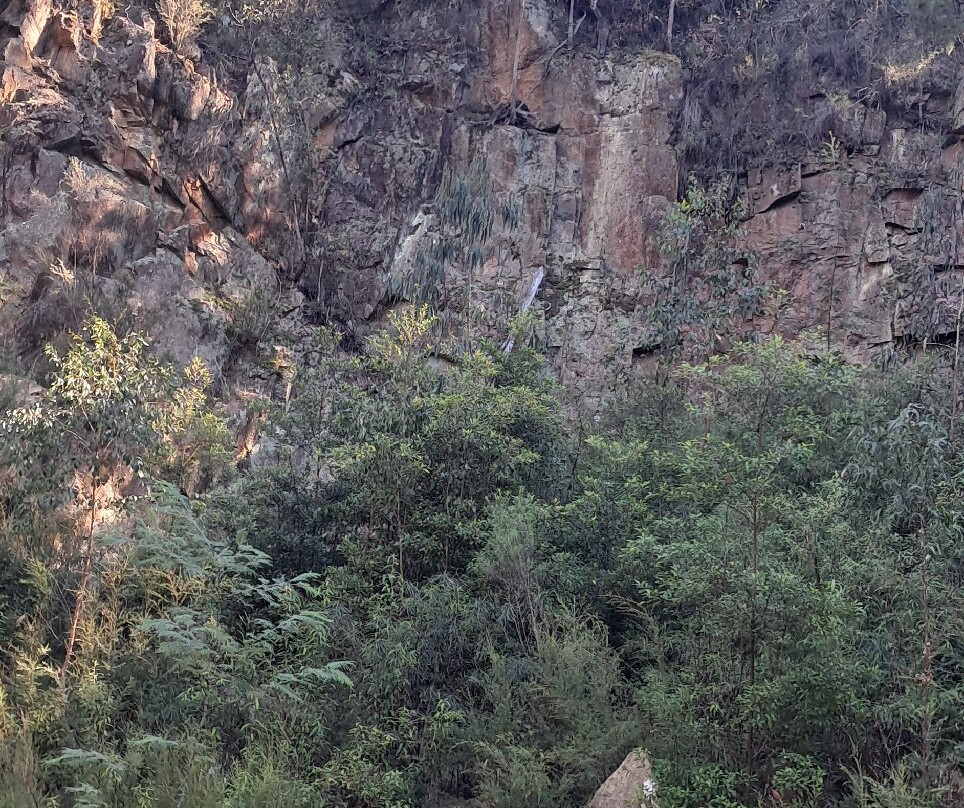 East Gippsland Rail Trail景点图片