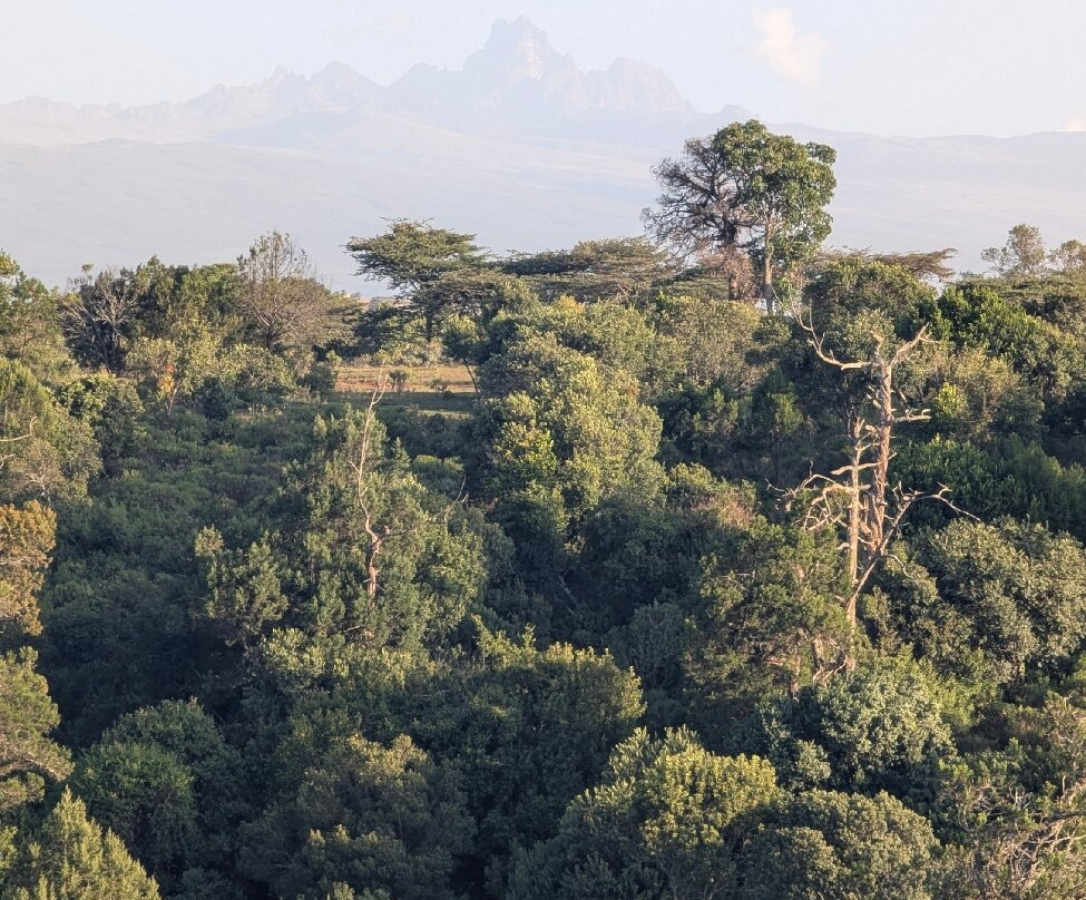 Regency Mount Kenya Hotel主图