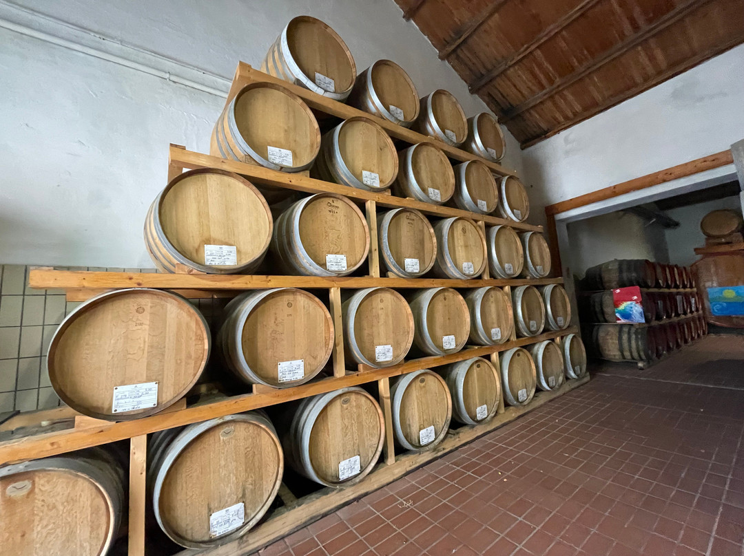 Curatolo arini  1875-马尔萨拉必去景点