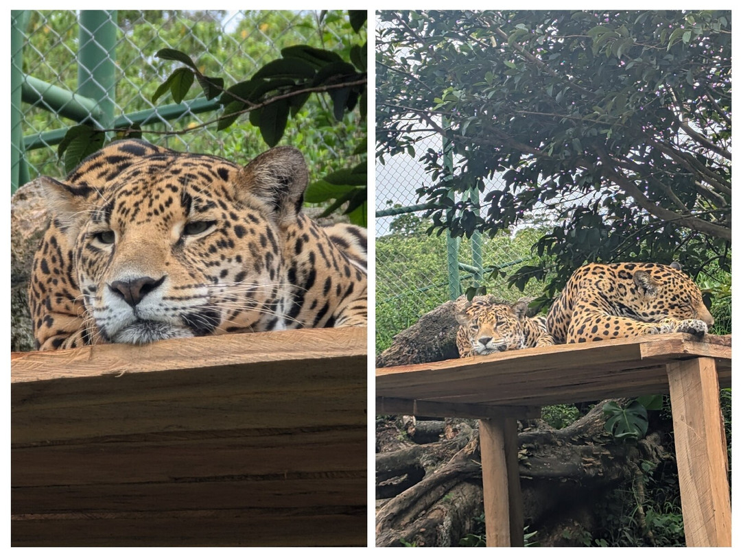 Natuwa Wildlife Santuary-彭塔雷纳斯必去景点