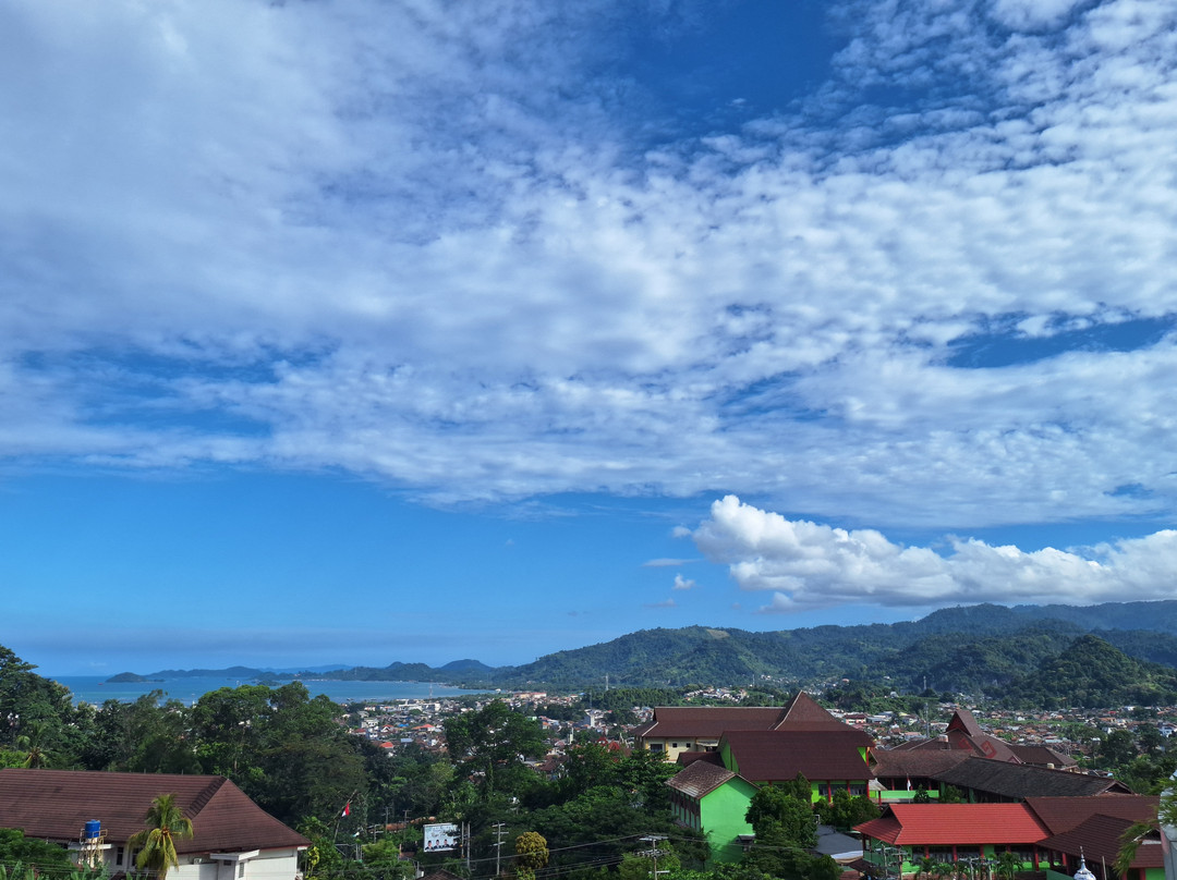 Golden Tulip SpringHill Lampung主图