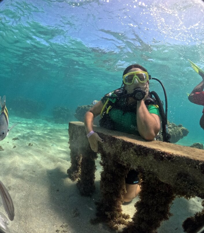 Maracajaú Diver-Maracajau必去景点