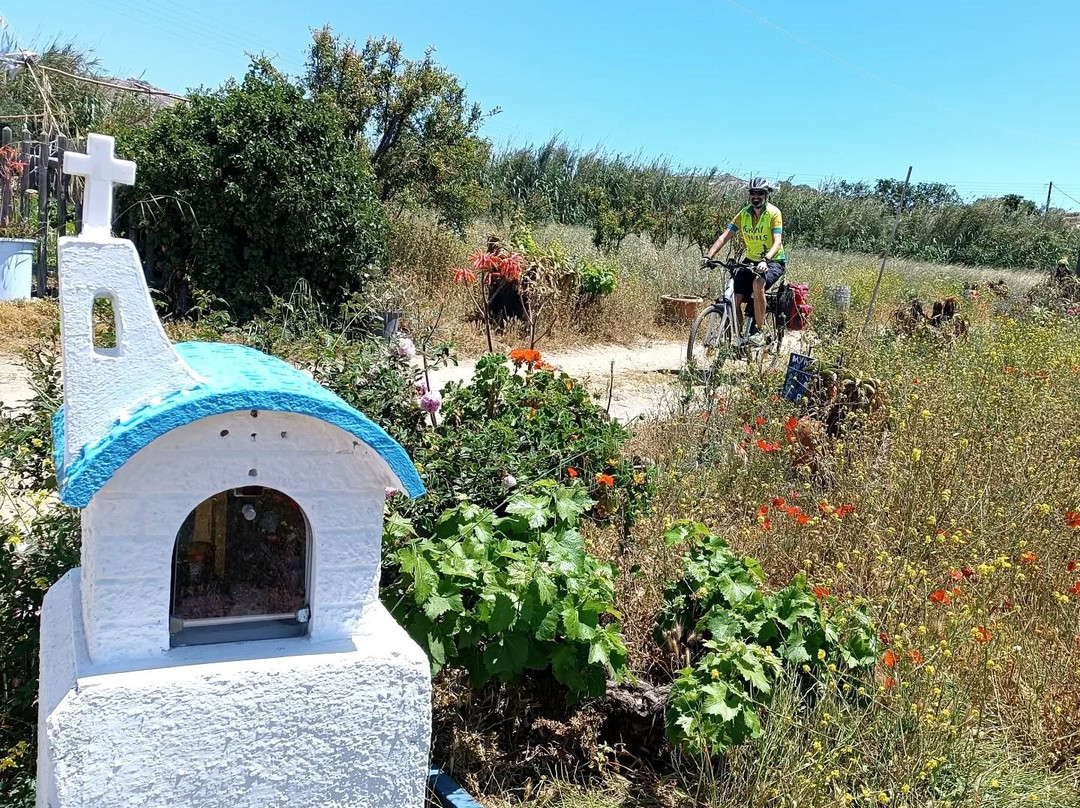 Yummy Pedals - Cycling & Hiking Tours景点图片