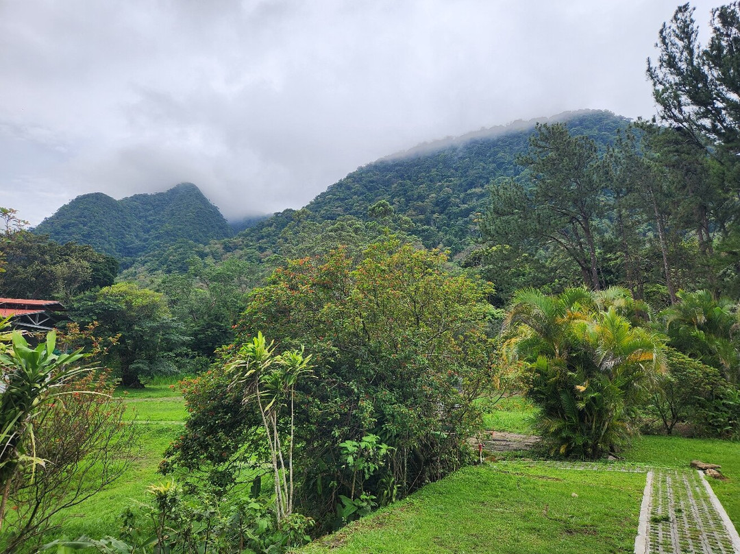 Hotel Campestre主图