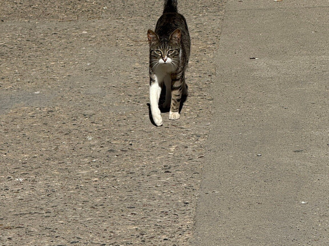 Bodegas Osca-Lascellas-Ponzano必去景点