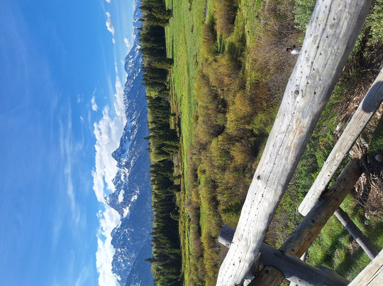 Road Scholar-波士顿必去景点