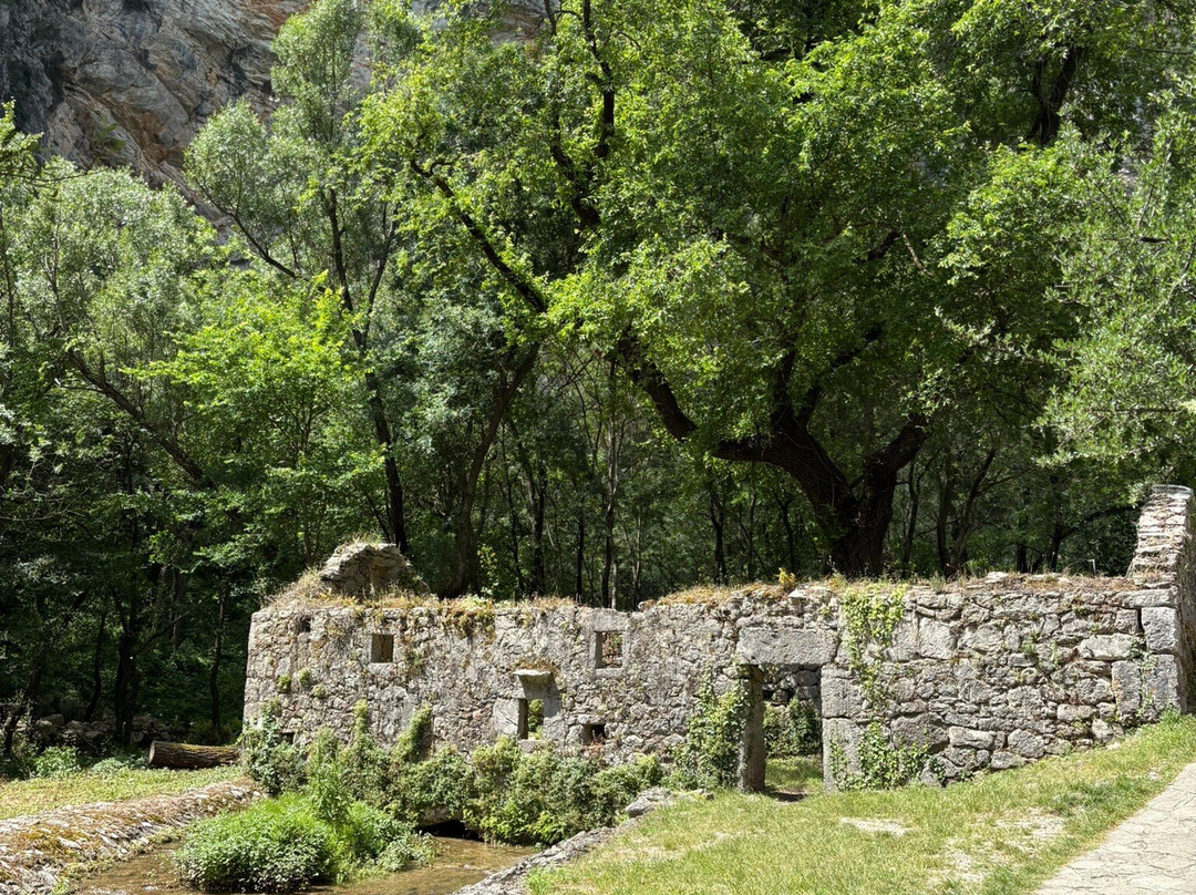 Adventure Park Peć Mlini景点图片
