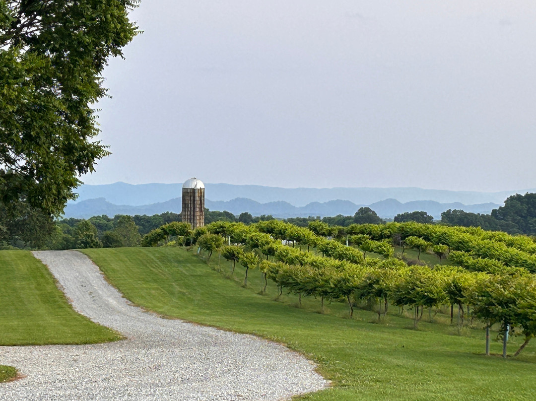 Tsali Notch Vineyard-Madisonville必去景点