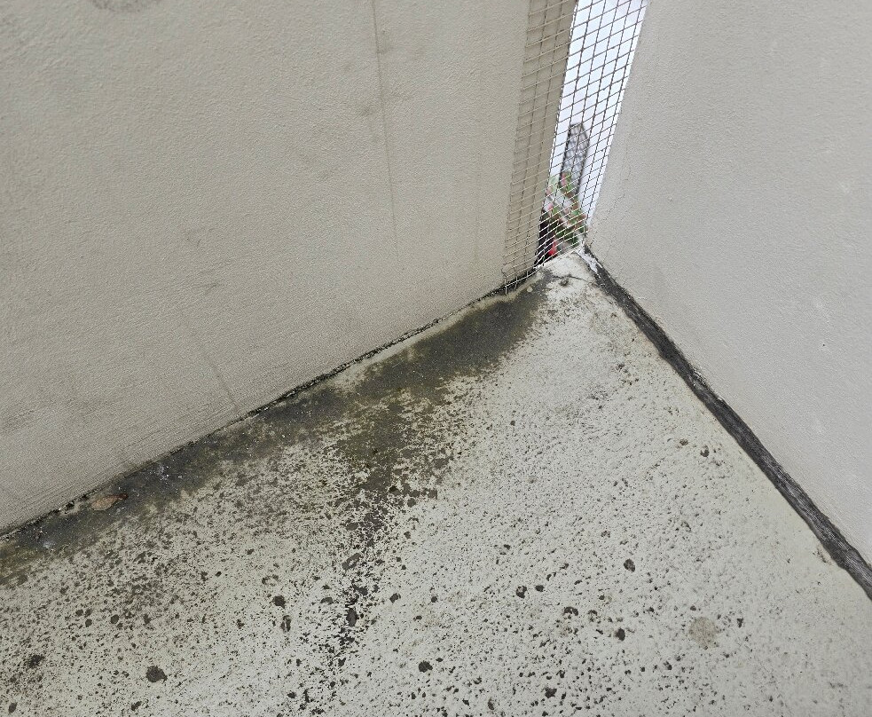 玛伊尔霍夫酒店主图