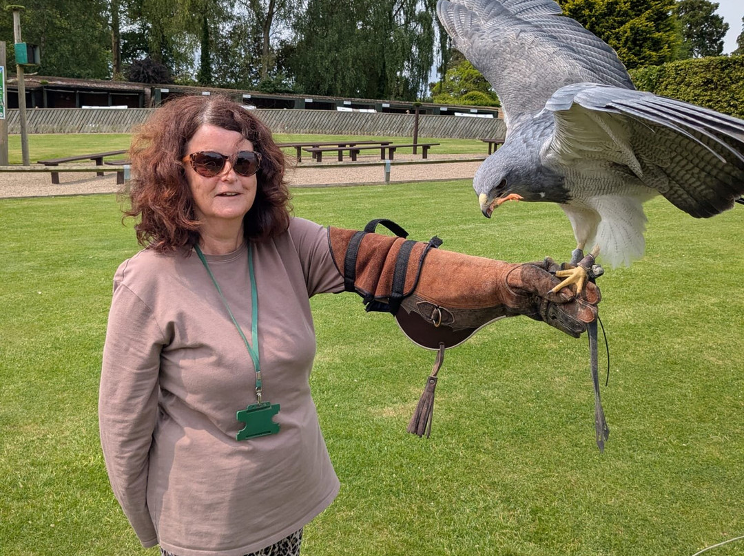 Thirsk Birds Of Prey Centre景点图片