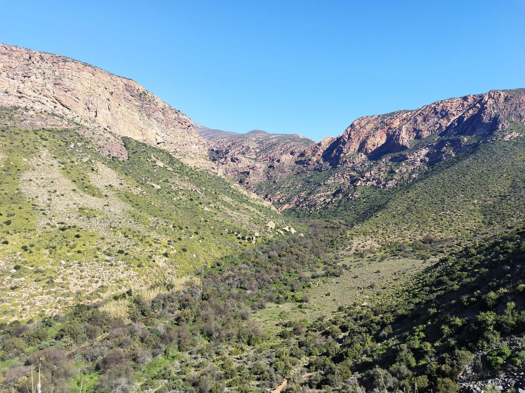 Topnotch Tours - Day Tours-开普敦中心区必去景点