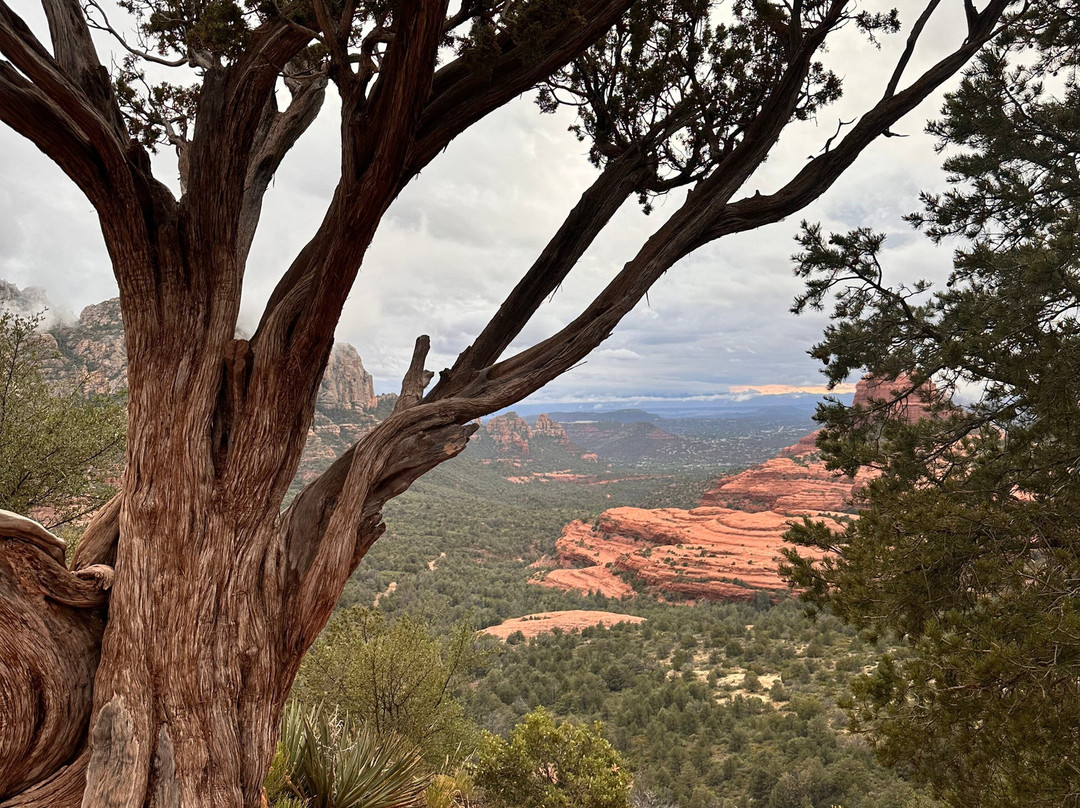 Arizona Safari Jeep Tours-塞多纳必去景点