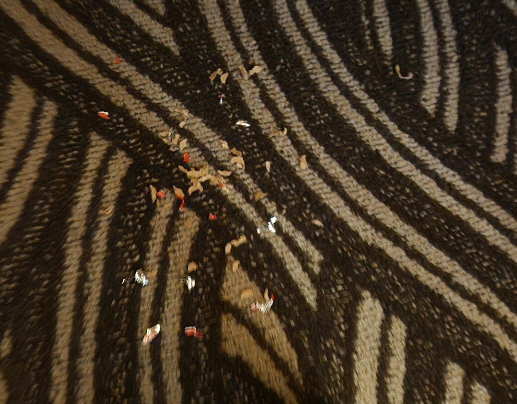 Best Western Plus Kingston Hotel And Conference Center主图