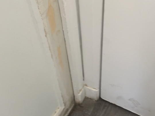 Sylvabelle Hotel主图